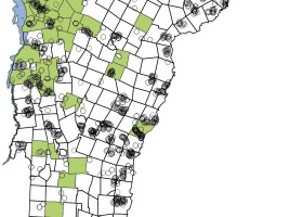 Vermont Atlas of Life Map of the Week: Rusty-patched Bumble Bee (Bombus affinis)