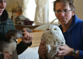 Loon Meets Owl in Eric Hanson's House