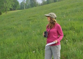 Grassland Birders Sought to be ‘out standing in the field’ This Summer