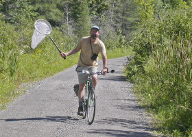 Vermont Butterfly Big Year in High Gear