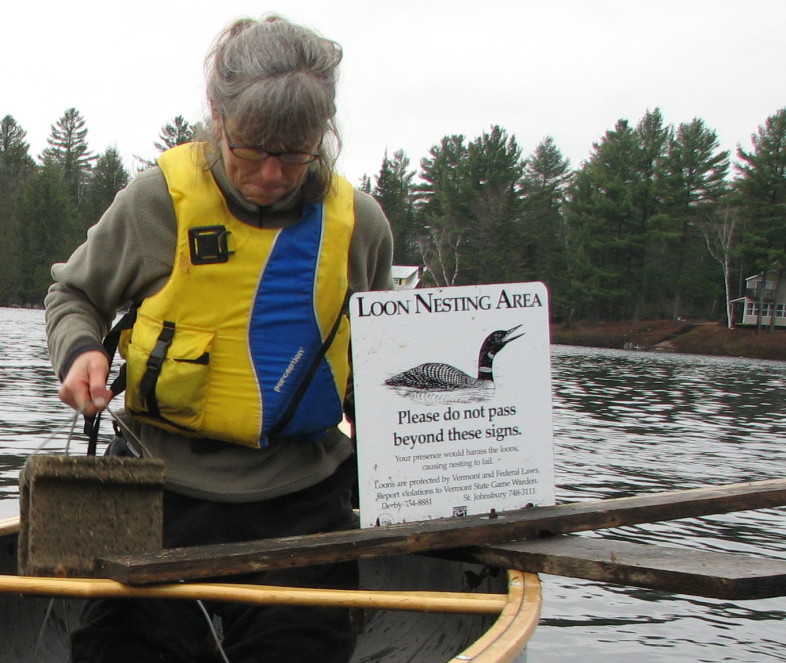 Vermont Loon Conservation Project Vermont Center for Ecostudies