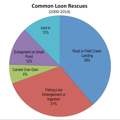 common-loon-rescues-2000-2014