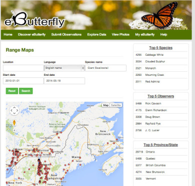 e-butterfly-screen-shot