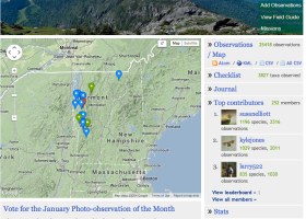 Vote for the March iNaturalist Vermont Observation of the Month
