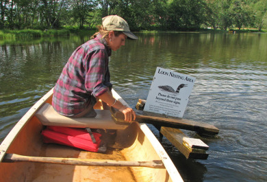 Placing a loon nest warning sign
