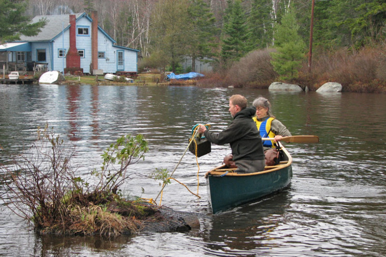 Loon Nesting Rafts | Vermont Center for Ecostudies