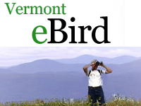 Vermont eBirders Gather Big Bird Data During County Quest