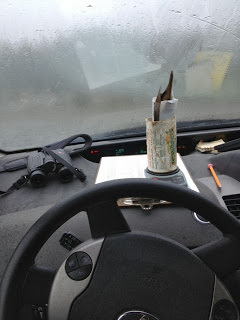 How do you weigh a bird in inclement weather? The dashboard of the car is a great place!