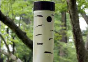Are Chickadee Nests the Key to an Effective Bumble Bee Nest Box?
