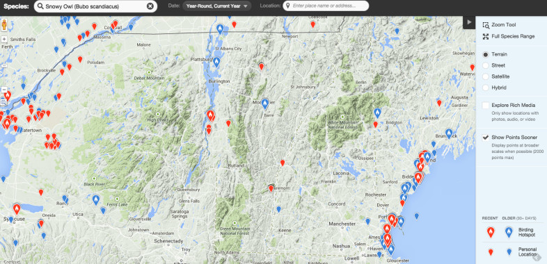 Snowy  Owl sightings in Vermont eBird for 2015. Click on image to see a live map at Vermont eBird.