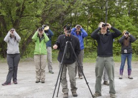 By Land and by Sea, VCE Birdathon a Success