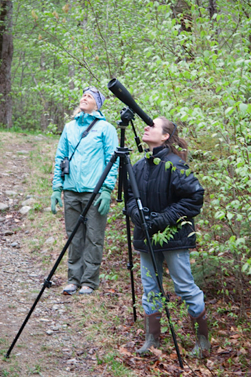 Biologists Margaret Fowle, left, and Sarah Zahendra look for peregrine falcons in Bolton. The high wind can make it harder to listen for, and see, the large birds. / © K.P. McFarland