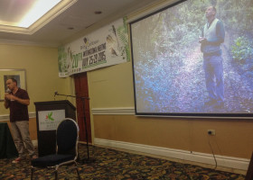 Streamertails and Jamaica - VCE Attends BirdsCaribbean Meeting