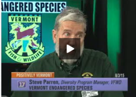 Positively Vermont: Vermont Endangered Species