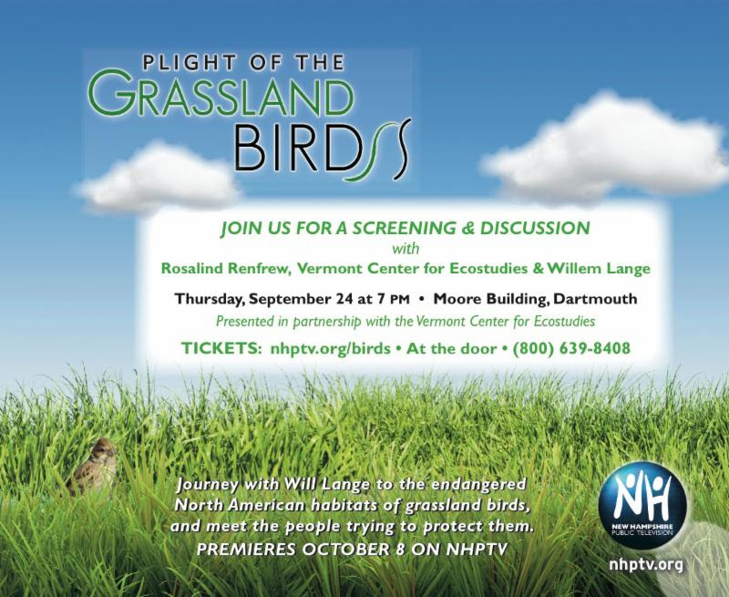 Plight of Grassland Birds