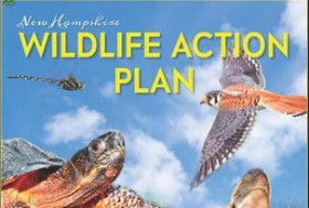 New Hampshire's New 10-year Wildlife Action Plan Shows Gains and Challenges