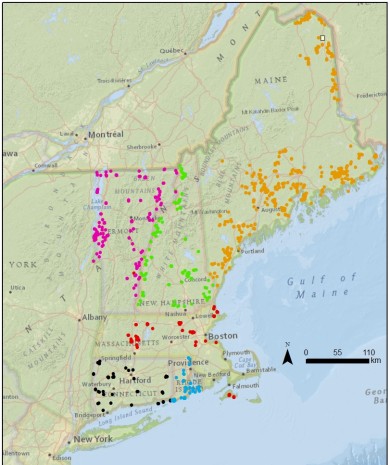 Point count locations from the 2015 New England Grassland Resurvey Project