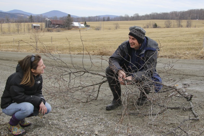 Christian Marks, TNC, explains to Sara Zahendra how these branches will be used to help restore elms.