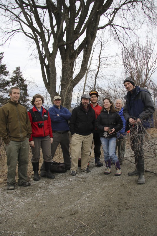 The Outdoor Radio team joins TNC and local neighbors that discovered the healthy elm tree to harvest branches for breeding.