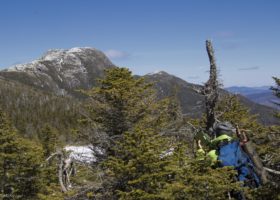 The Mount Mansfield Phenology Project