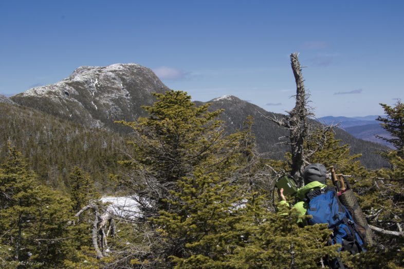 VCE biologist John Lloyd deploying an autonomous bird recording device and camera on Mt. Mansfield in April under blue skies and a light snow pack. / © K.P. McFarland