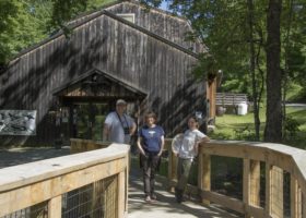 Outdoor Radio: A Pollinator Paradise At The Birds Of Vermont Museum