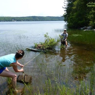 Amber Wolf and Grace Mitchum pulling a loon raft onto shore at Great Averill Pond. Photo by Eric Hanson.