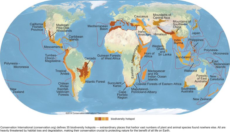 The world's hotspots for biodiversity according to Conservation International. CC BY-SA 4.0