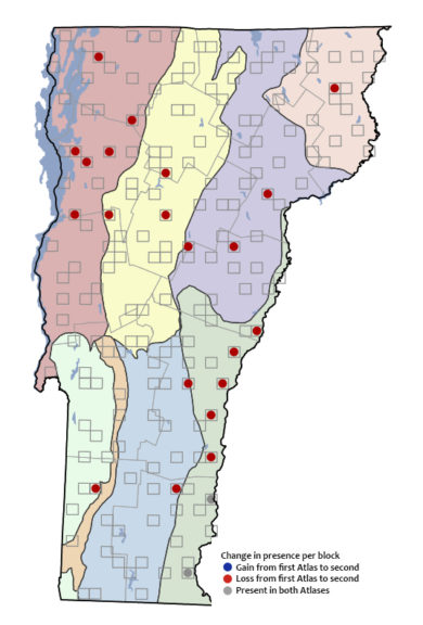 The Vermont Breeding Bird Atlas found that Common Nighthawks declined by 91% (23 to 2 survey blocks). Losses occurred in every biophysical region.