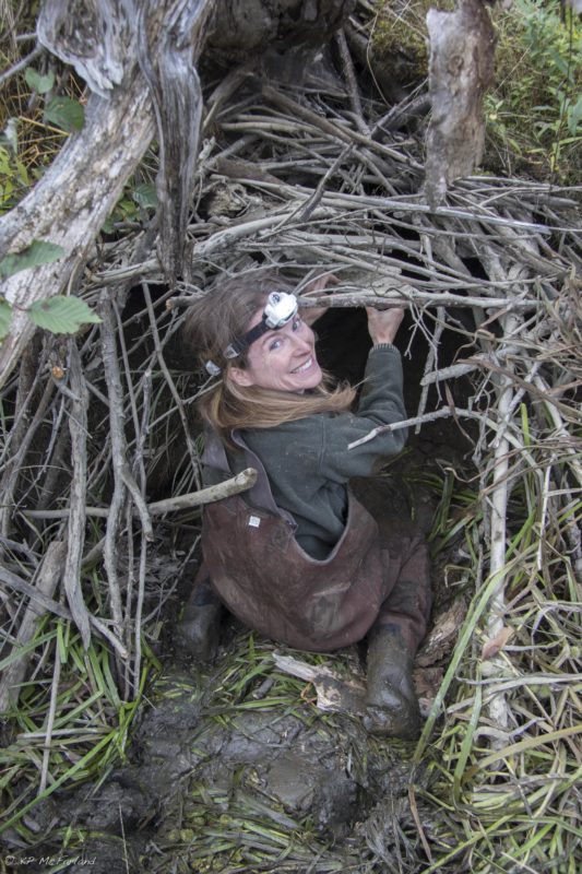 Sara Zahendra is ready to crawl into the beaver lodge. © KPMcFarland.com