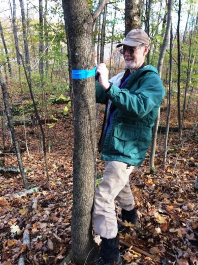 Volunteer Allon Wildgust marks a Forest Bird Monitoring station at Sugar Hollow Preserve.