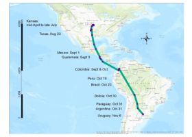 The fall 2016 migration route (>10,000 km, so far) of an Upland Sandpiper that bred in Kansas. This Upland Sandpiper was fitted with a solar-powered satellite tag in April, 2016 at Konza Prairie, Kansas. Since leaving Kansas in July, she has visited nine additional countries on her southward journey. Map created in ArcGIS.