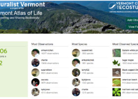iNaturalist Vermont Becomes Biodiversity Big Data in 2016