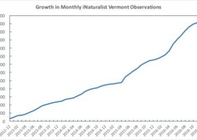 Growth in monthly iNaturalist observations in Vermont. 