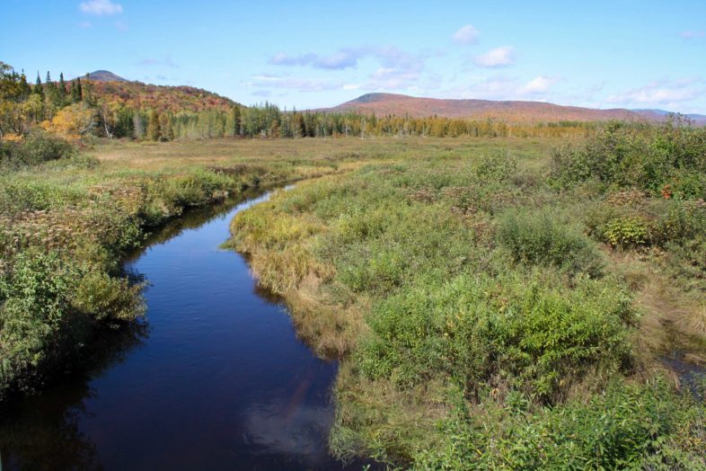 Victory Basin WMA and State Forest in autumn. Photo courtesy of Vermont Fish & Wildlife Dept.