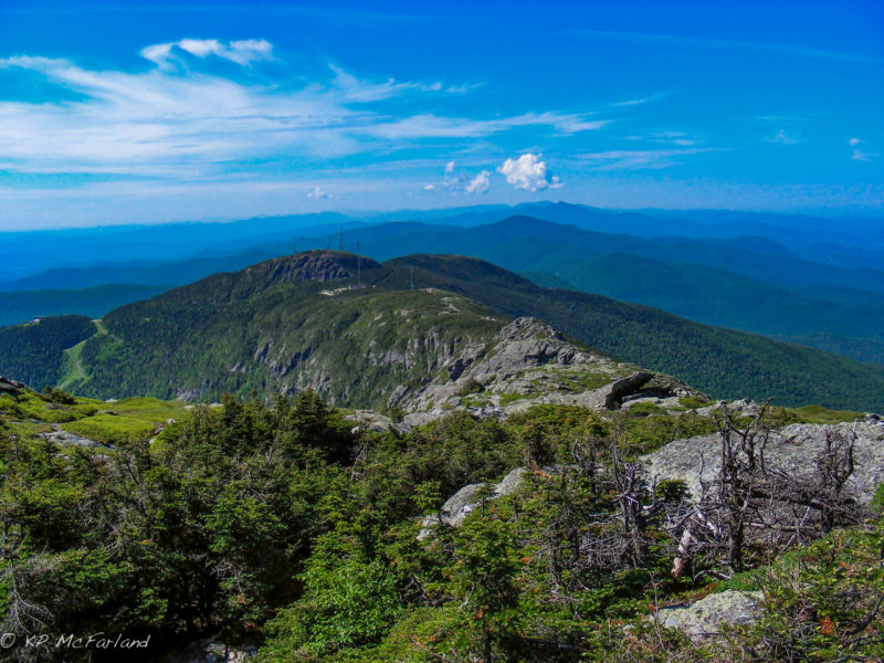 A Field Guide to June 2017 Vermont Center for Ecostudies