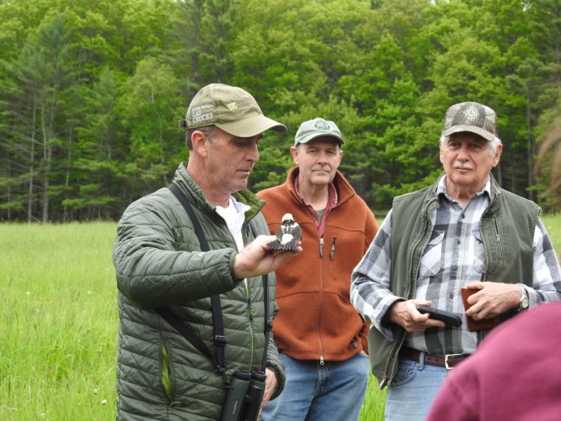 The Balancing Act: Supporting Nesting Birds in Hayfields | Vermont ...