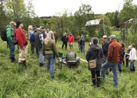 The Balancing Act: Supporting Nesting Birds in Hayfields
