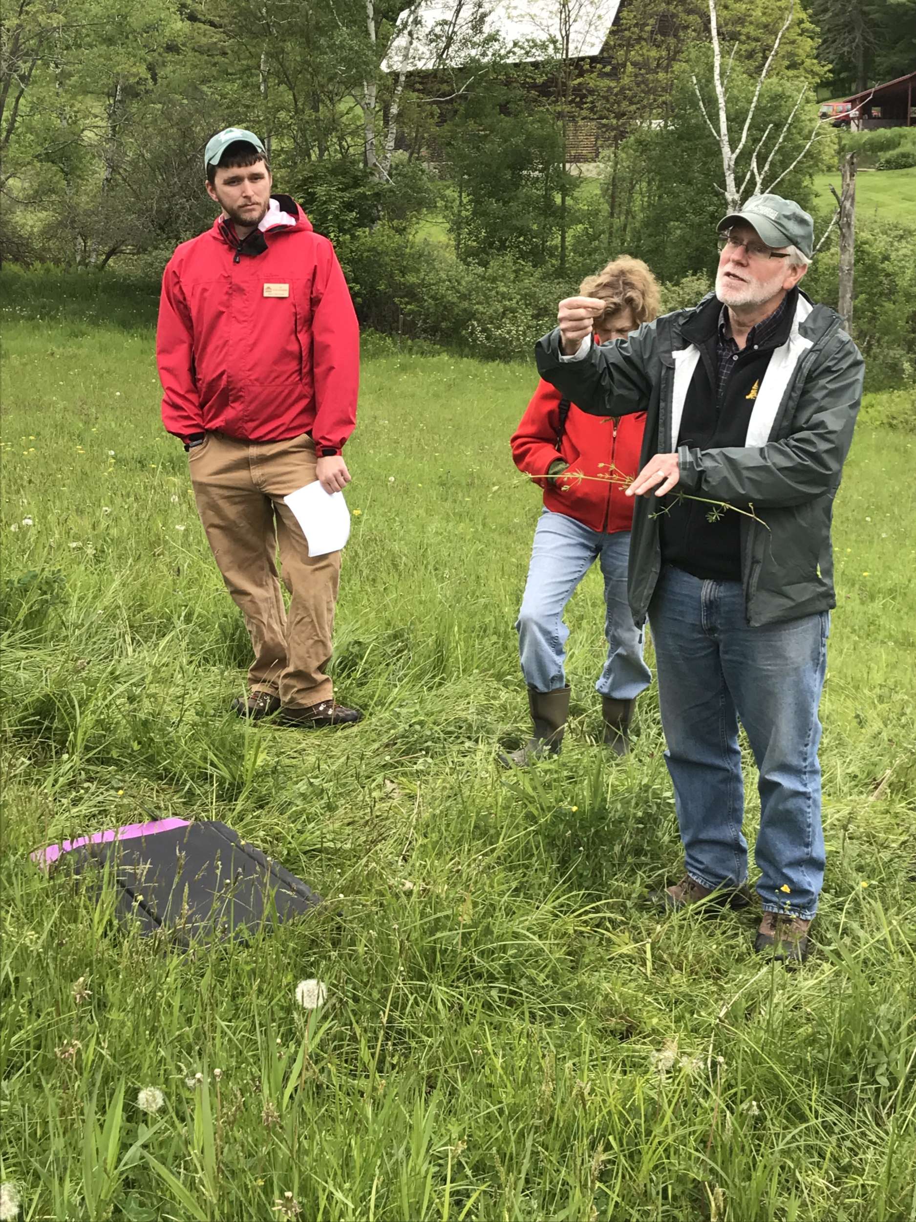 The Balancing Act Supporting Nesting Birds in Hayfields Vermont