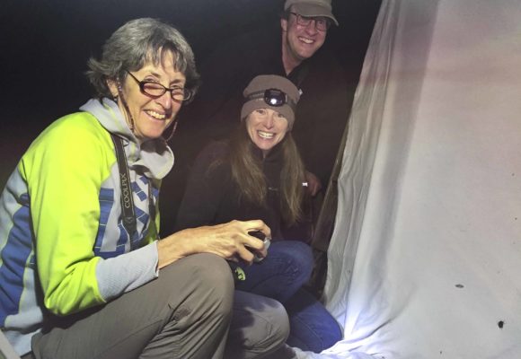 5612, , OR moth crew_KPMcFarland, Co-hosts Kent McFarland and Sara Zahendra are joined by JoAnn Russo, naturalist and moth expert, to watch backyard moths. , , image/jpeg, https://vtecostudies.org/wp-content/uploads/2017/06/OR-moth-crew_KPMcFarland.jpg, 2500, 1875, Array, Array 
