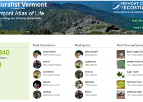 iNaturalist Vermont Countdown to 150,000 Observations