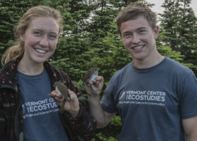 Humans and Songbirds Meet Up on Mt. Mansfield