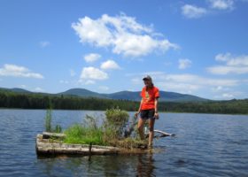 Habitat Selection with a Twist: A Story of Two Opportunistic Loons