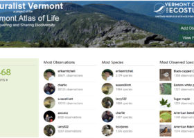 iNaturalist Vermont Builds Biodiversity Big Data in 2017