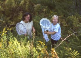New Study Reveals e-Butterfly Volunteers Provide Unique and Important Data