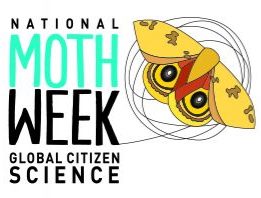 Join the Vermont Moth Blitz During National Moth Week July 18-26