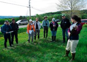 Hayfield Heroes: Landowners Key to Grassland Bird Conservation