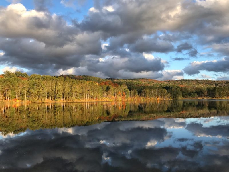 Field Guide to September 2018 | Vermont Center for Ecostudies