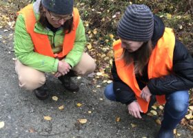 Outdoor Radio: Taking Pictures of Roadkill Can Help Protect Wildlife