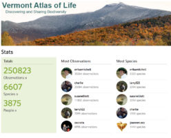 Vermont Atlas of Life on iNaturalist Surpasses Quarter Million Observations